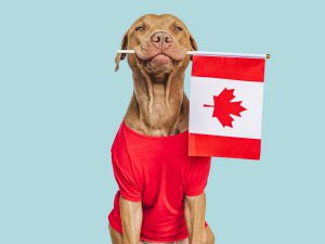 Importing Animals Into Canada